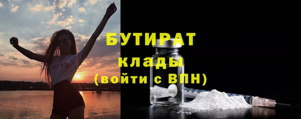 индика Переславль-Залесский