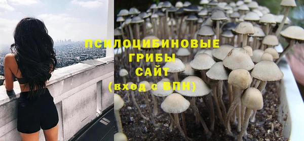 ALPHA PVP Пестово