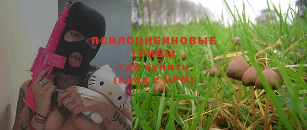 ALPHA-PVP Осинники