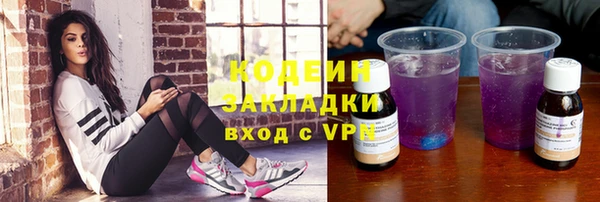 индика Переславль-Залесский