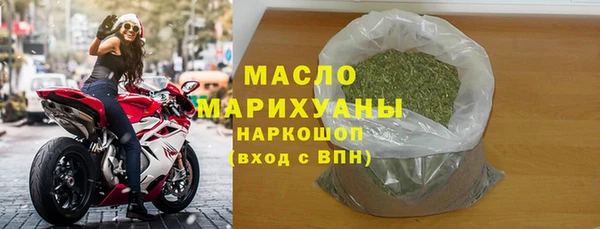 дмт Пересвет